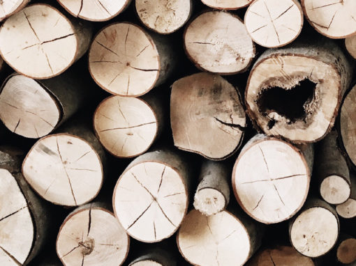 Valorització de la fusta