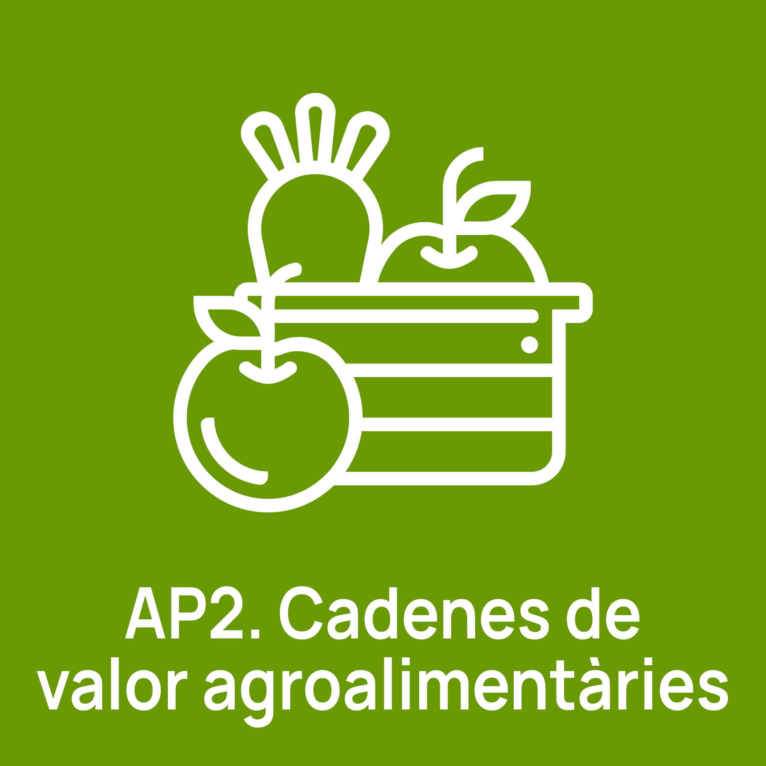 AP2 - Cadenes de valor agroalimentàries
